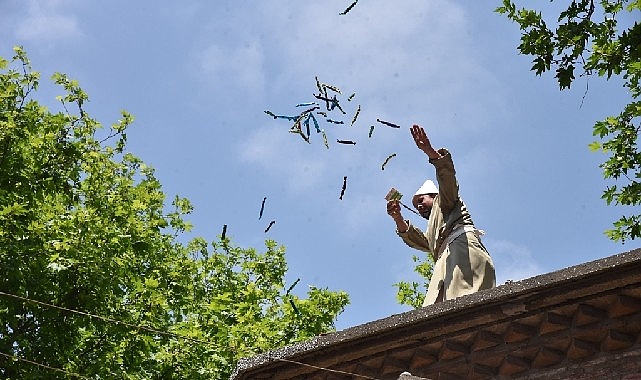 Festival’in Renkleri Fotoğraf Karelerinde Hayat Bulacak