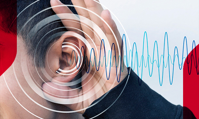 Akustik Paneller ile İç Mekanlarda Ses Yalıtımını Artırın