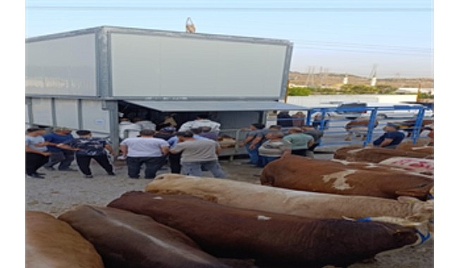 Büyükşehir’den bayramda güvenli ve hijyenik kesim hizmeti