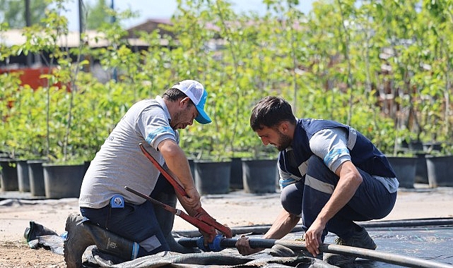 Büyükşehir’in fidanlığı Kocaeli’ni yeşillendiriyor