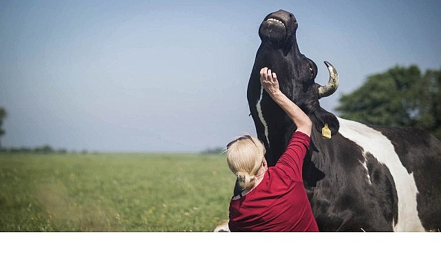 Salt Beyoğlu’ndaki “Hayvanların Yaşamı” sergisi kapsamında hazırlanan gösterim programı 3 Temmuz’da Açık Sinema’da başlıyor.