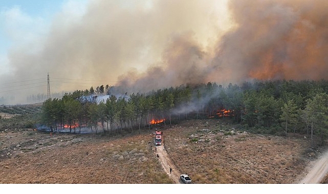 Antalya’da 4 farklı noktada orman yangını çıktı