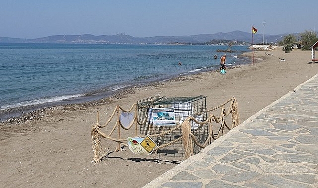 Menderes’te Caretta Caretta Heyecanı