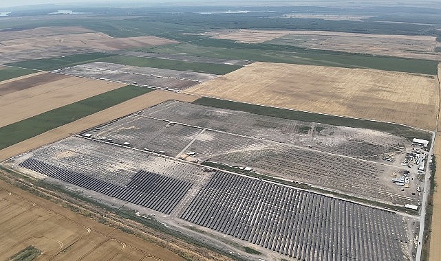 YEO Teknoloji’den dünyaya 2.5 milyon ağaç kadar nefes