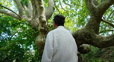 Plant Era: Ela Excellence Resort Belek ile doğa ile bütünleşin