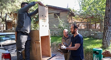 Büyükşehir Doğal Yaşam Parkı’nın tedavi edilen Yılan Kartalı doğaya geri döndü