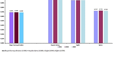 İl Seviyesinde Beşeri Sermaye Endeksi, 2021-2023