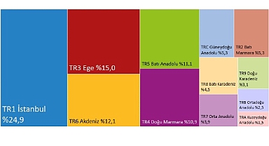 Hanehalkı Tüketim Harcaması (Bölgesel), 2024